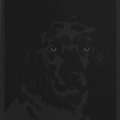 Un Chien dans la nuit