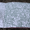 Inventaire Potager