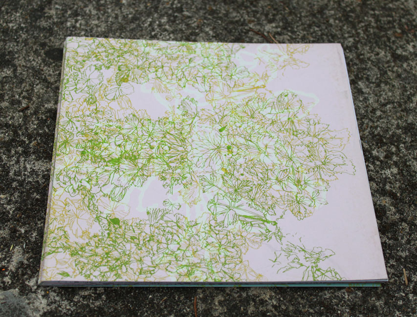 potagers_ronco1