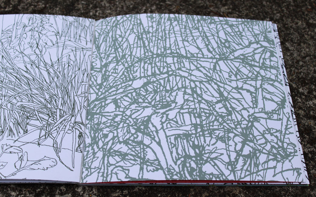 potagers_ronco3