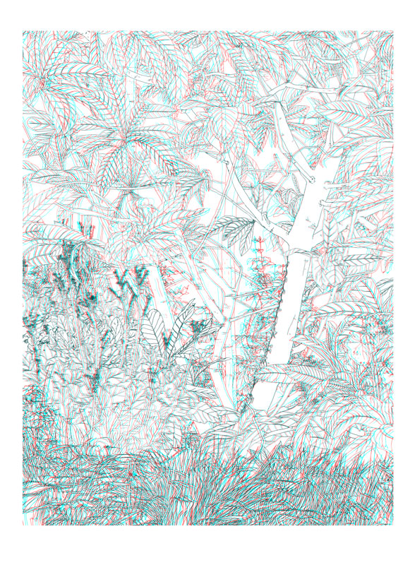 jungleweb