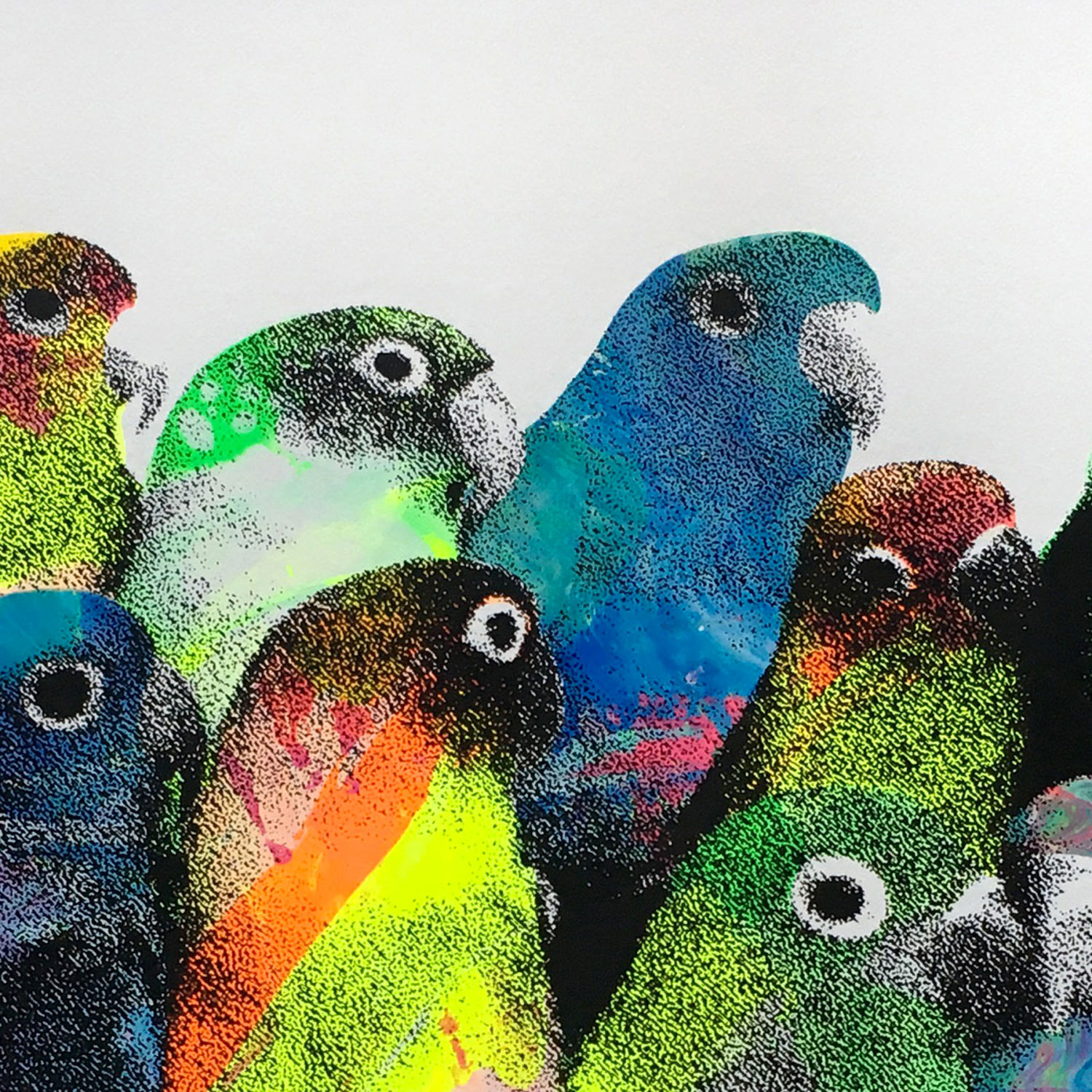 Rare Birds detail WEB