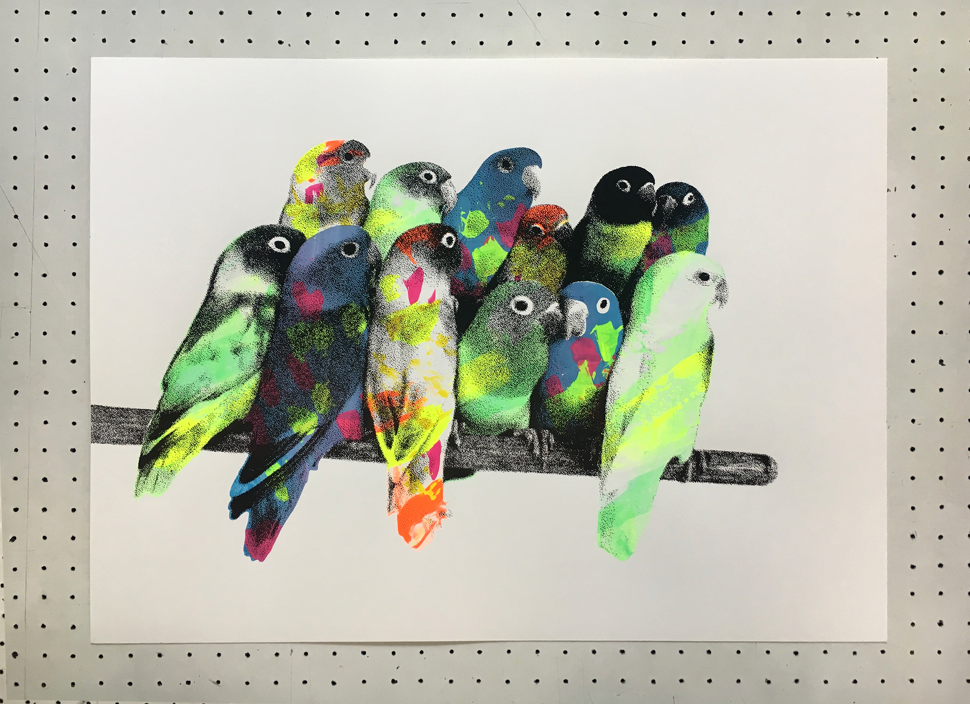 Rare Birds4WEB