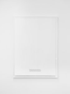 Wildscreens