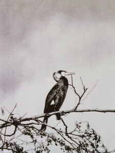Naviguer en oiseau